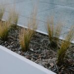 Stalen zwarte plantenbakken in een moderne tuinsetting met bloemen en planten.