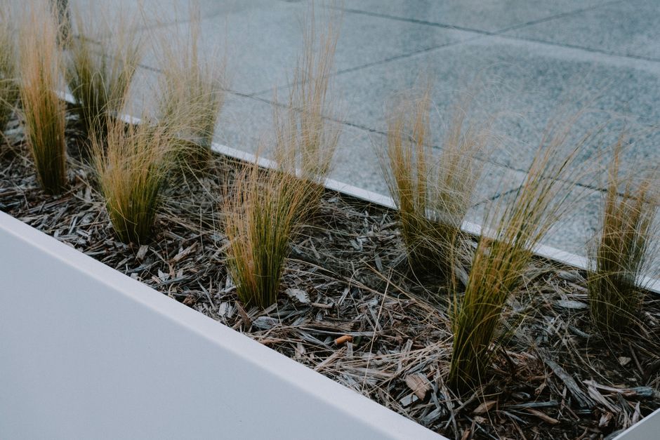 Stalen zwarte plantenbakken in een moderne tuinsetting met bloemen en planten.